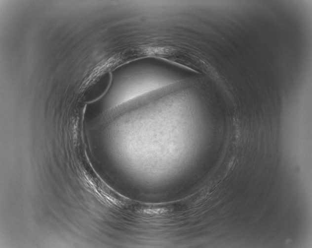 X0000085740357200703301434