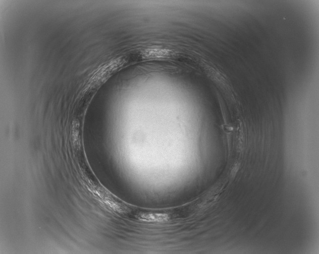 X0000085740361200703301434