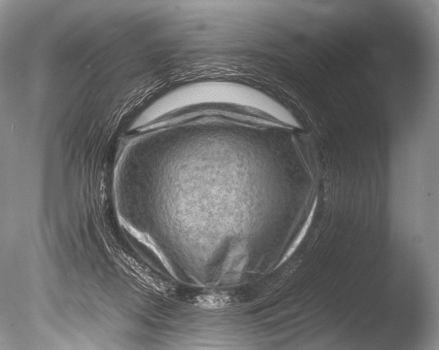 X0000085740362200703301434
