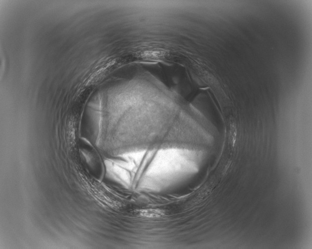 X0000085740363200703301434