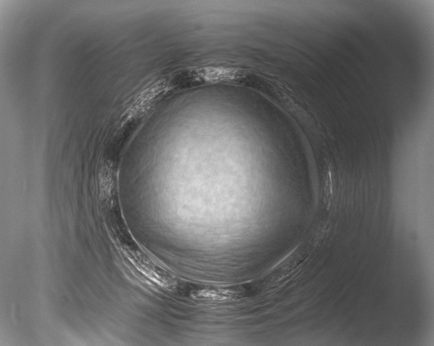 X0000085740367200703301434