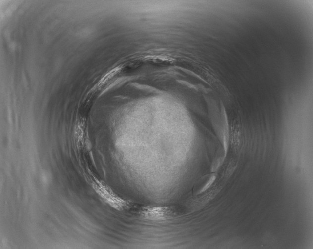 X0000085740382200703301434