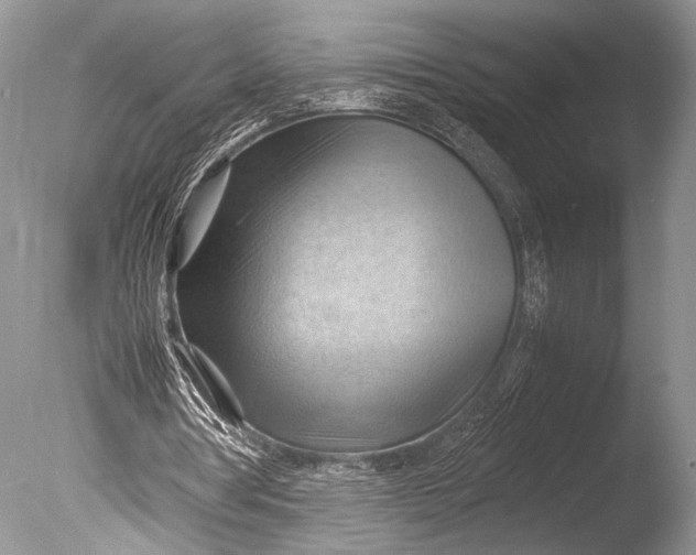 X0000085740386200703301434