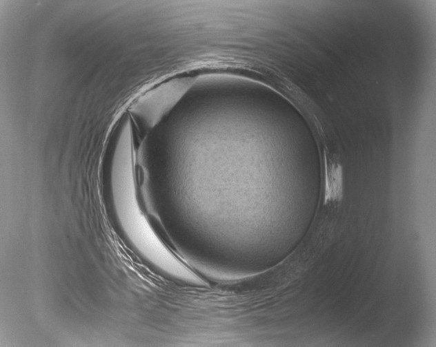 X0000085740387200703301434
