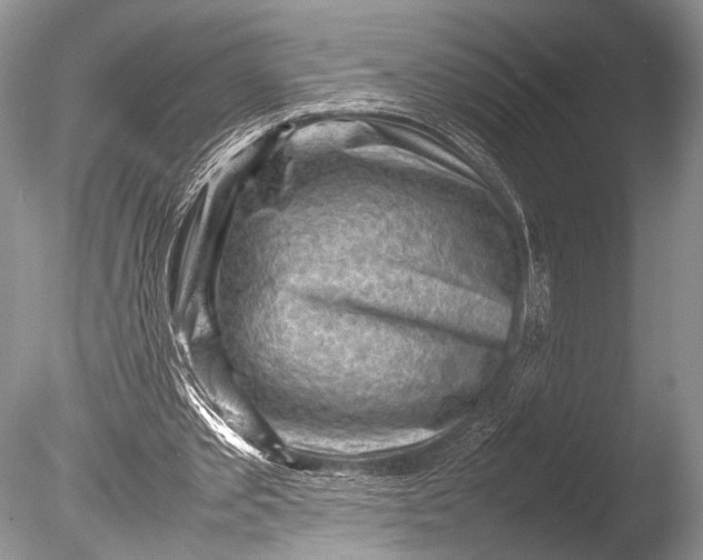 X0000085740389200703301434