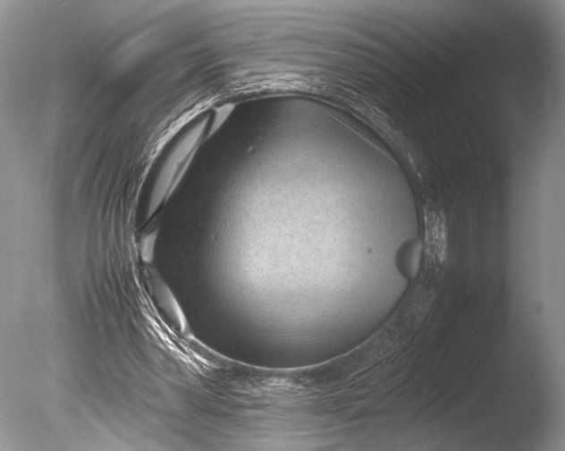 X0000085740390200703301434