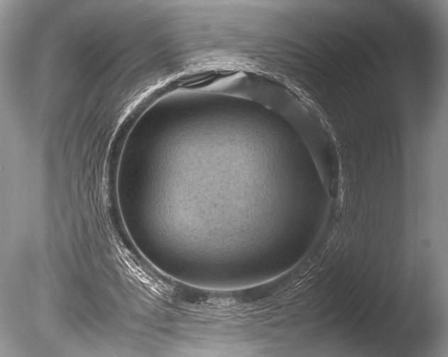X0000085740391200703301434