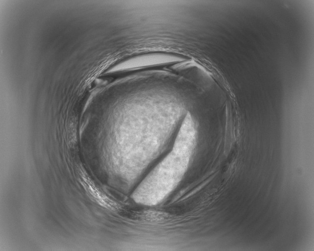 X0000085740393200703301434