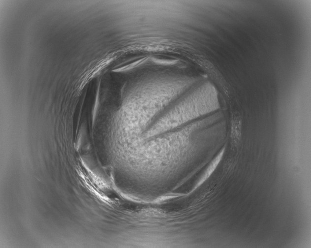 X0000085740397200703301433