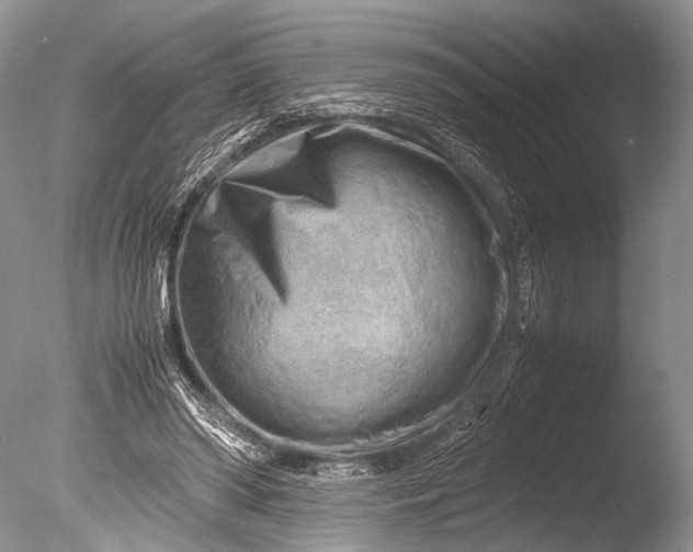 X0000085740398200703301433