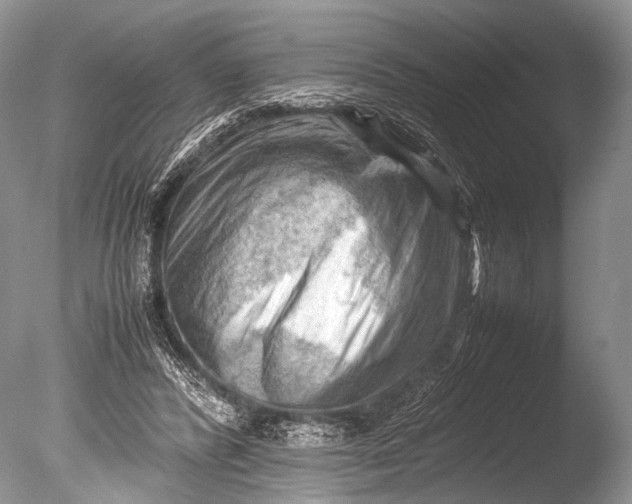 X0000085740400200703301433