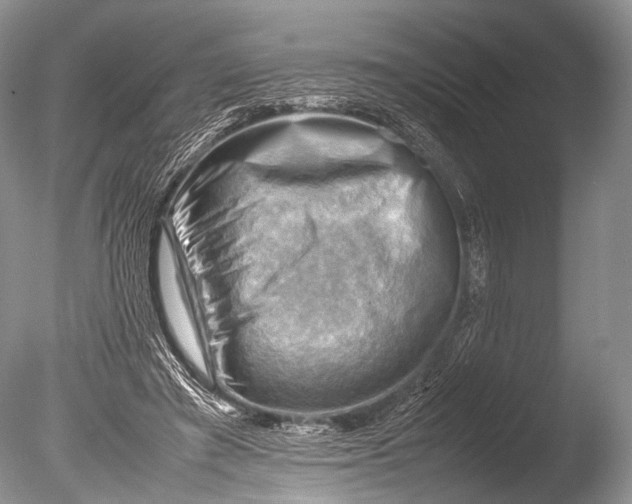 X0000085740401200703301433