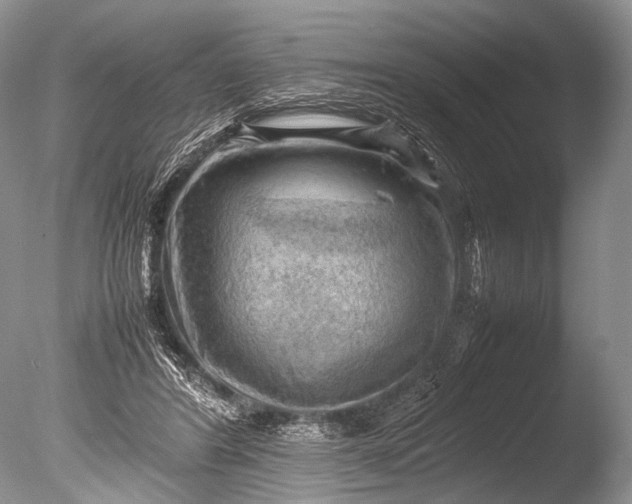 X0000085740404200703301433