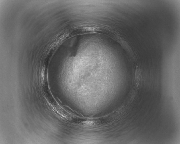 X0000085740406200703301433
