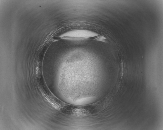 X0000085740408200703301433