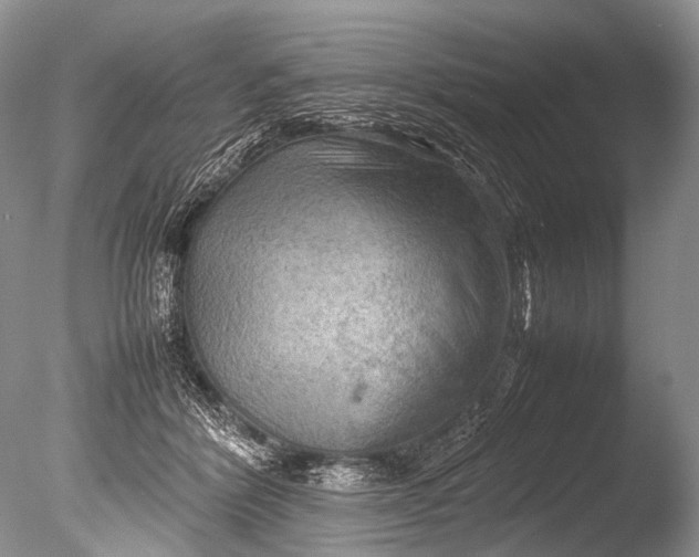 X0000085740412200703301433