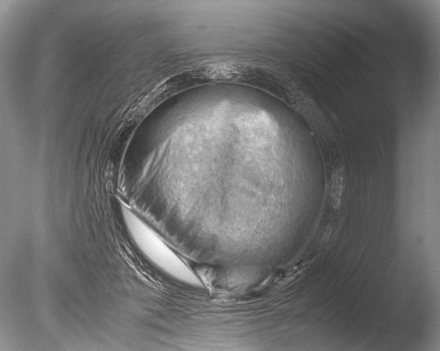 X0000085740413200703301433