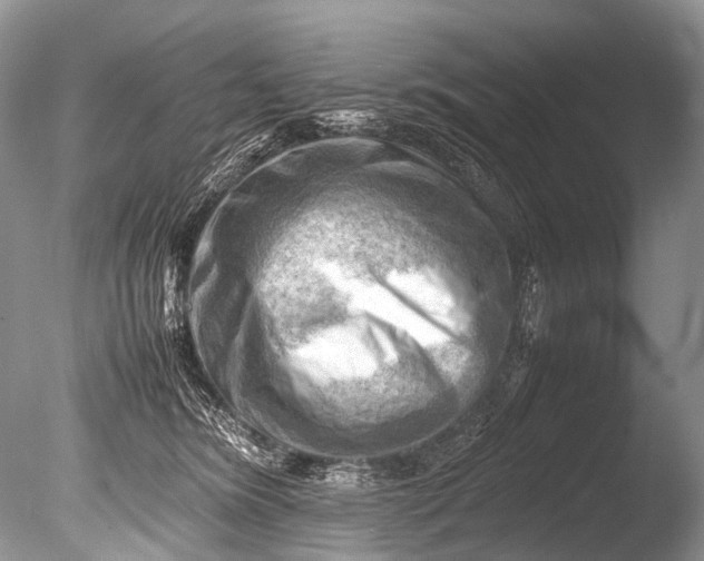 X0000085740420200703301433