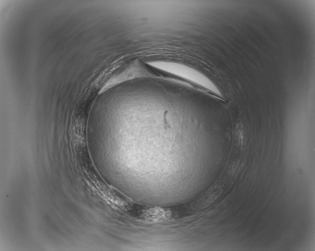 X0000085740421200703301433