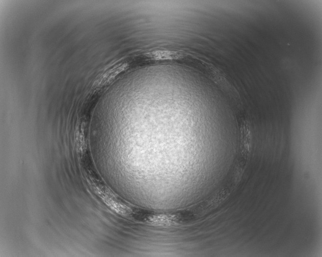 X0000085740422200703301433