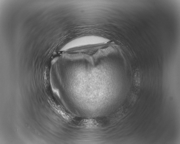 X0000085740424200703301433