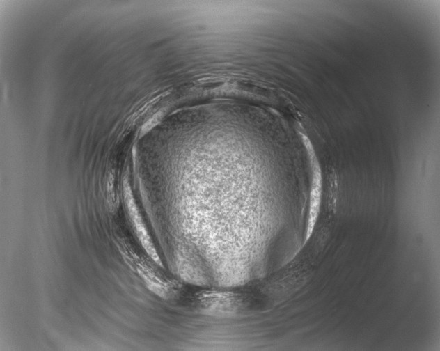 X0000085740428200703301433