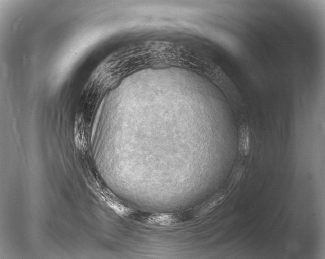 X0000085740431200703301433