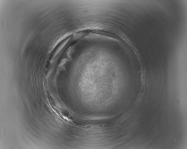 X0000085740434200703301432