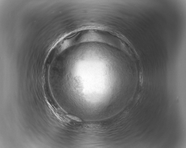 X0000085740436200703301432