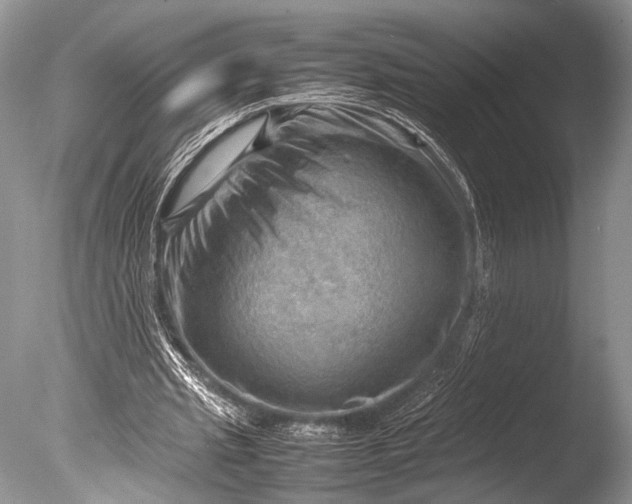 X0000085740437200703301432