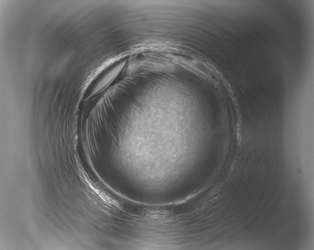 X0000085740438200703301432