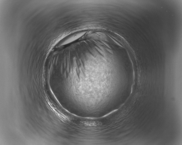 X0000085740439200703301432