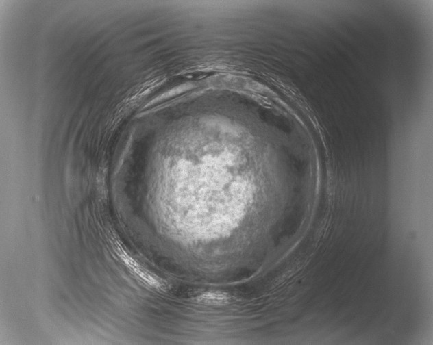 X0000085740441200703301432