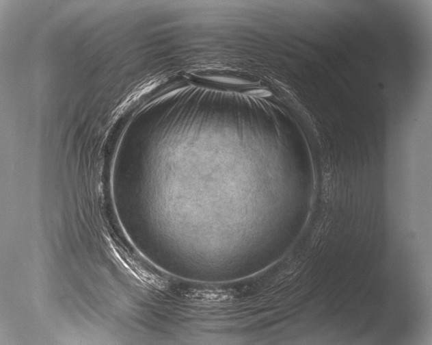 X0000085740443200703301432