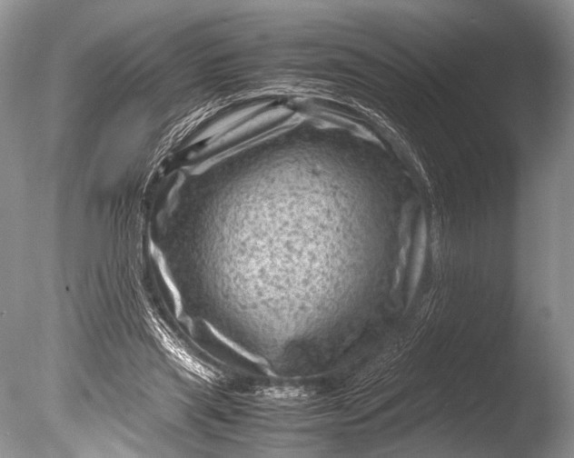 X0000085740445200703301432