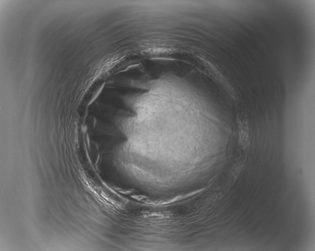 X0000085740447200703301432