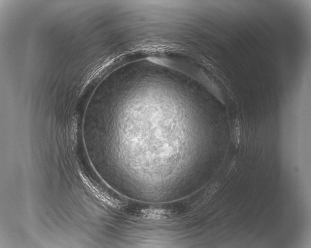 X0000085740448200703301432