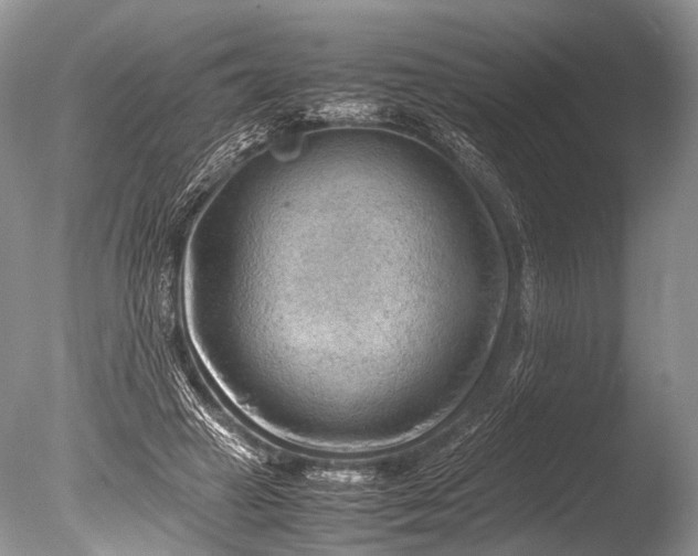 X0000085740449200703301432