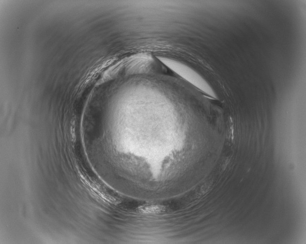 X0000085740452200703301432