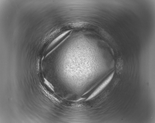 X0000085740454200703301432