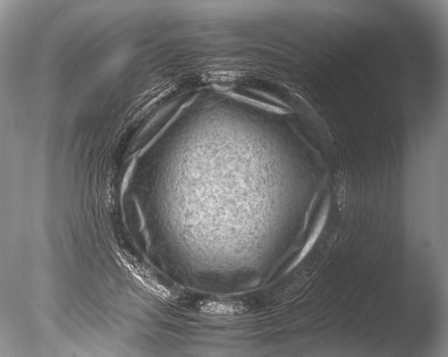 X0000085740455200703301432