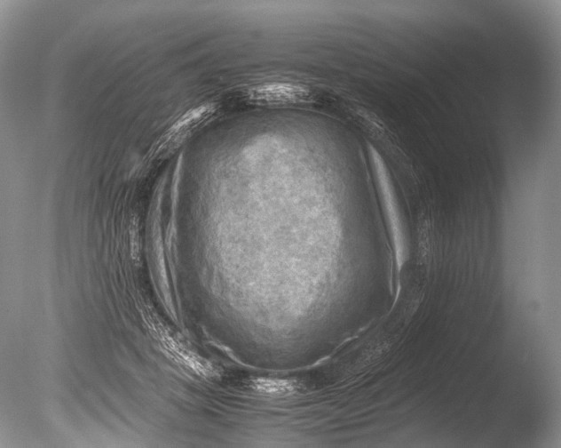 X0000085740457200703301432