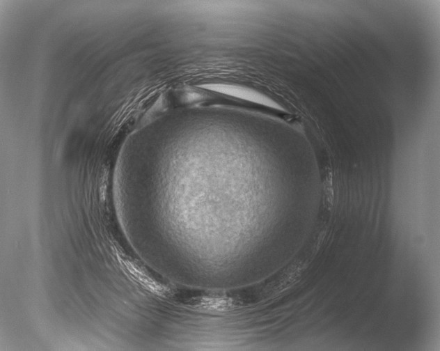 X0000085740458200703301432