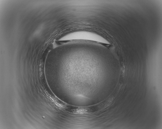 X0000085740462200703301433