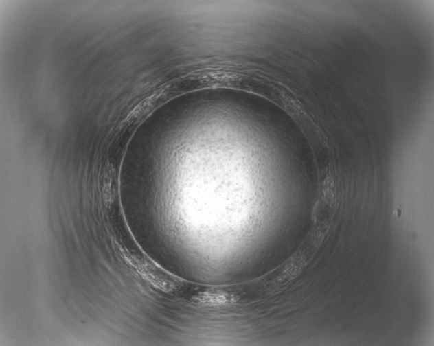 X0000085740464200703301433