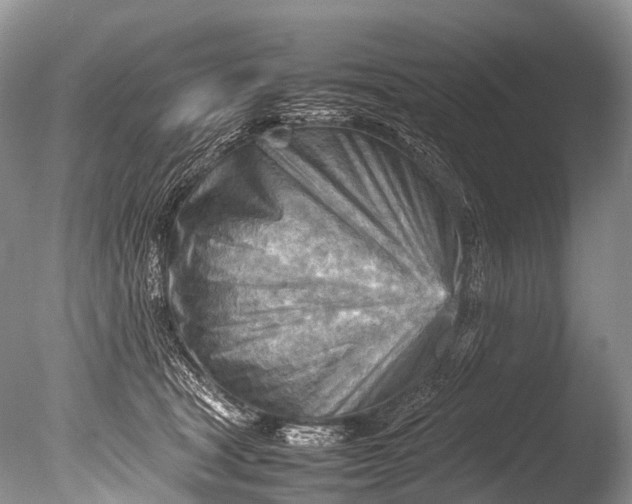 X0000085740465200703301433