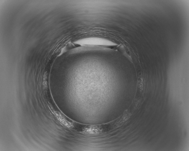 X0000085740466200703301433