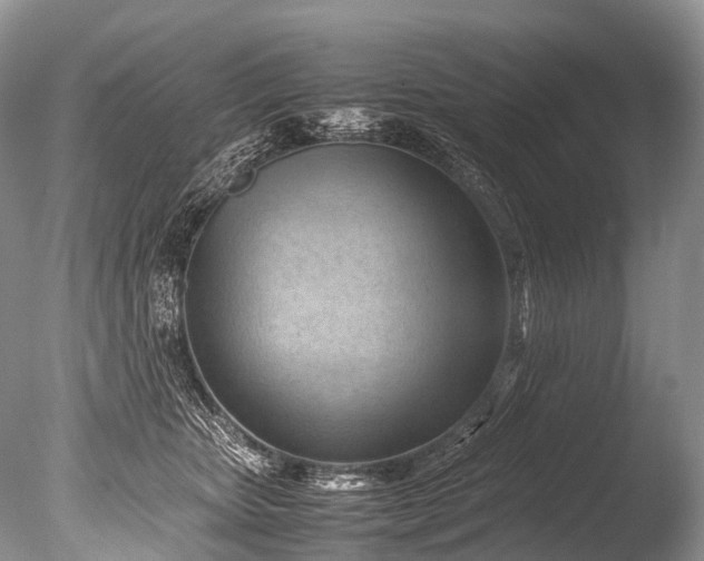 X0000085740467200703301433