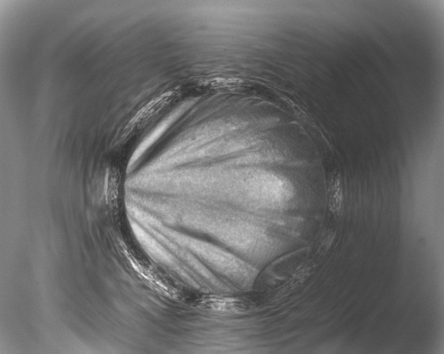 X0000085740472200703301433