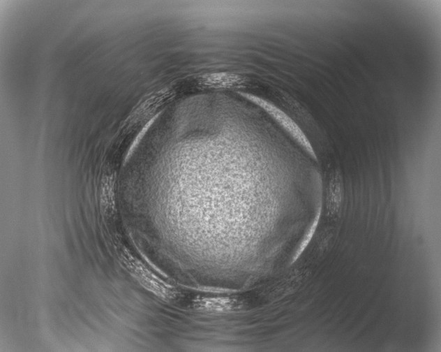 X0000085740473200703301433